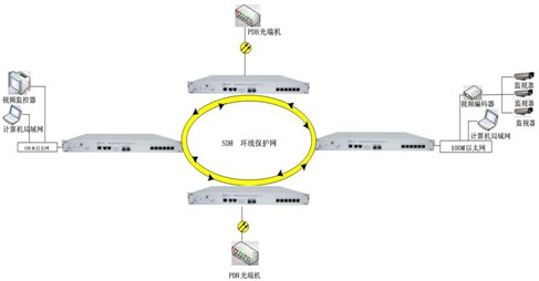 環(huán)形網(wǎng).jpg